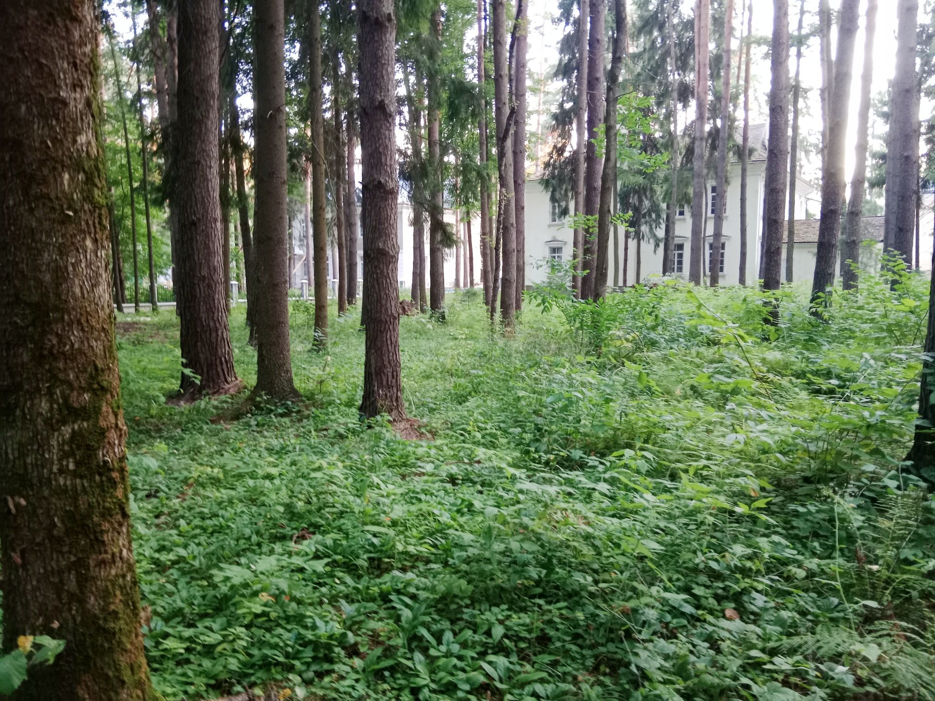 Коттедж Московская область, Одинцовский городской округ, деревня Новодарьино