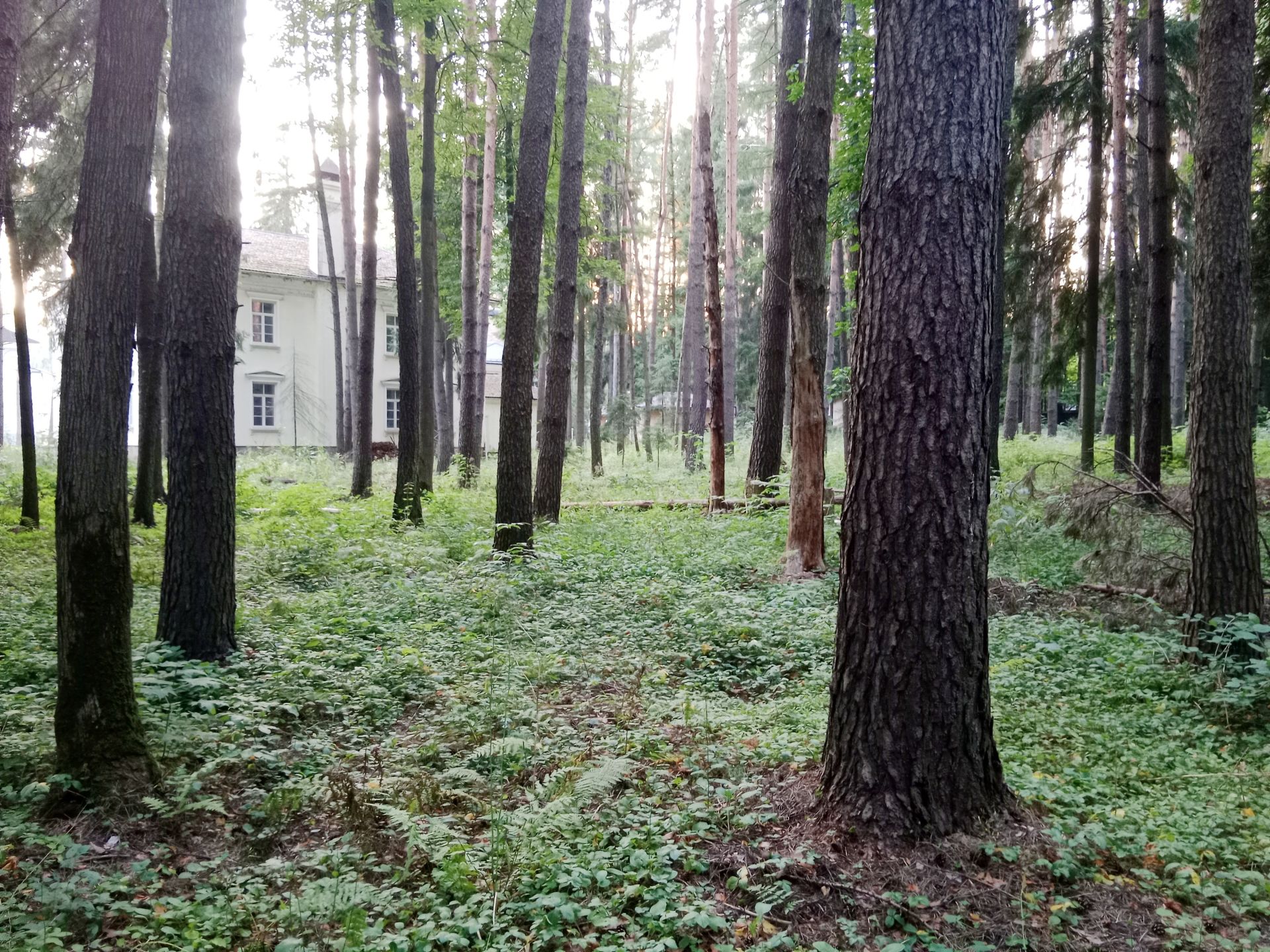 Коттедж Московская область, Одинцовский городской округ, деревня Новодарьино