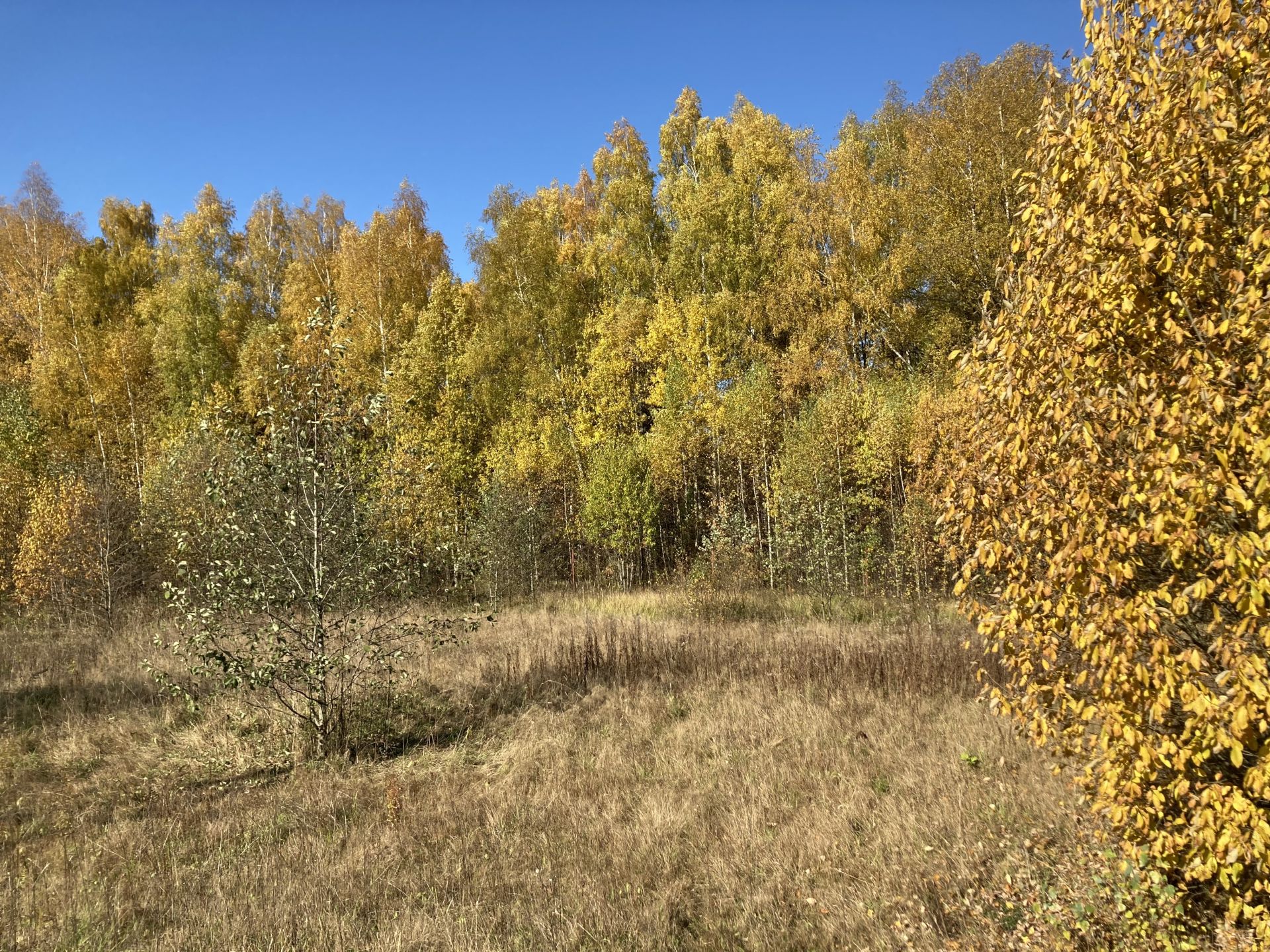 Земли сельхозназначения Московская область, Дмитровский городской округ, коттеджный посёлок Времена Года-2
