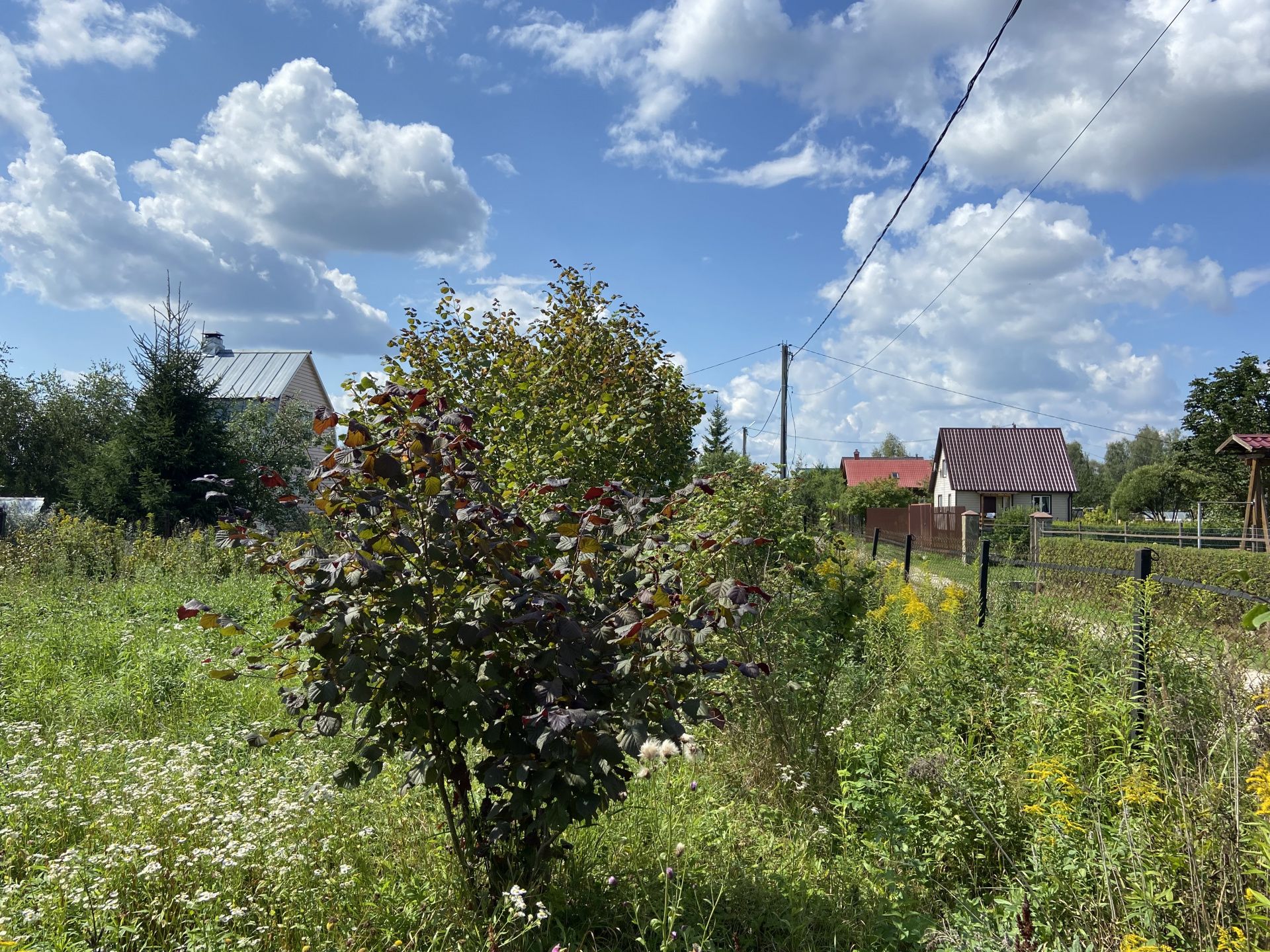 Земли сельхозназначения Московская область, городской округ Чехов, СНТ Ясное