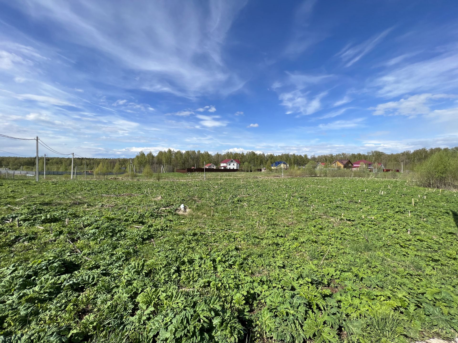 Земли сельхозназначения Московская область, Дмитровский городской округ, село Горки