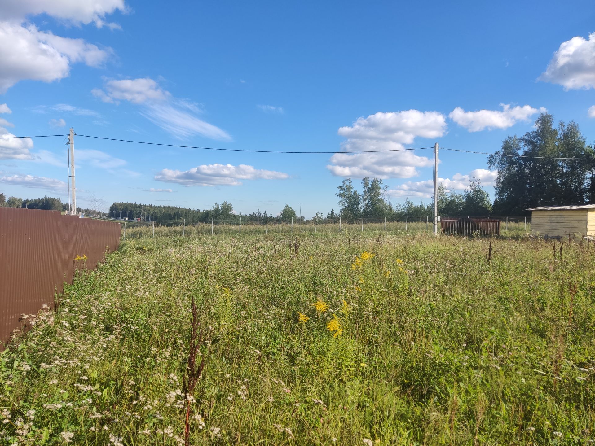 Земли сельхозназначения Московская область, городской округ Пушкинский, коттеджный посёлок Бортнево-5
