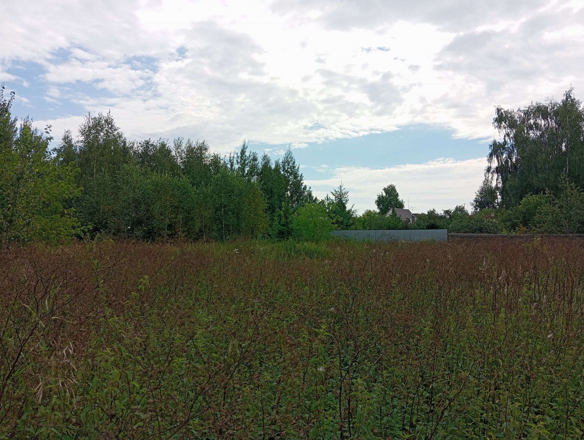 Земли поселения Московская область, Богородский городской округ, деревня Тимково, Большая улица