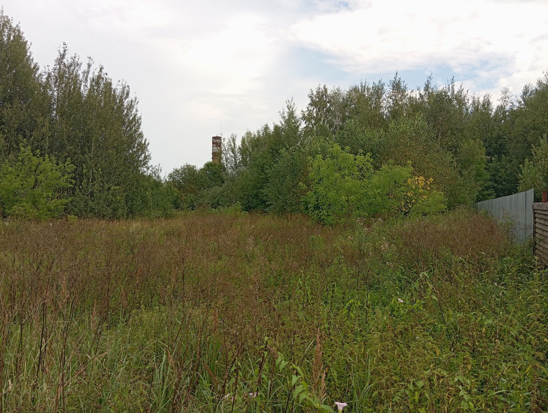 Земли поселения Московская область, Богородский городской округ, деревня Тимково, Большая улица