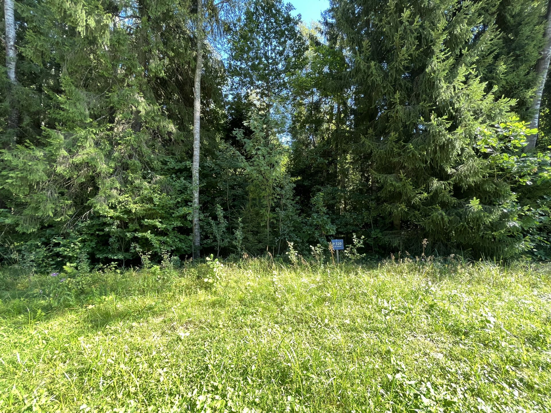 Земли поселения Московская область, городской округ Пушкинский, деревня Могильцы, микрорайон Пушкинский Лес
