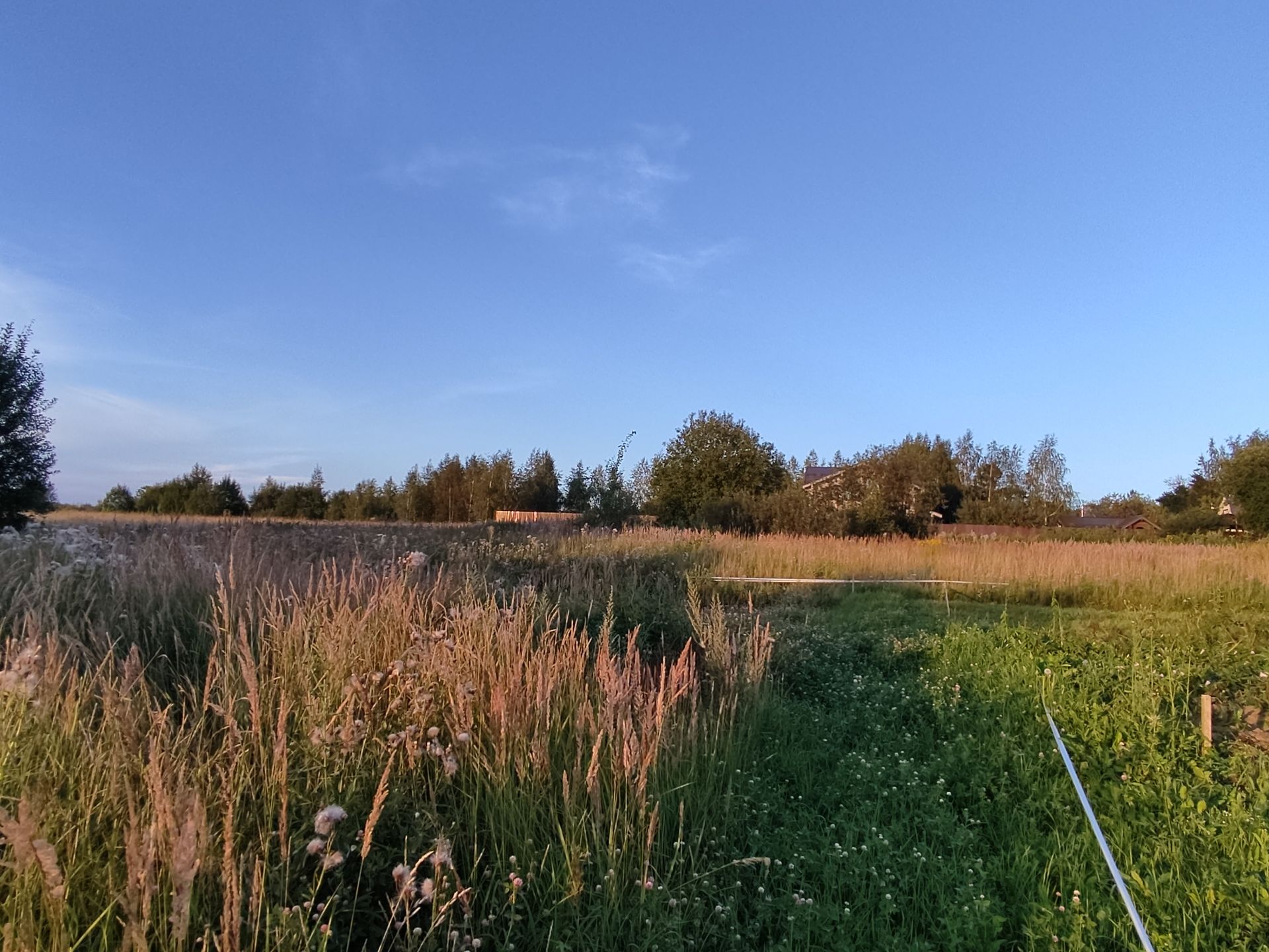 Земли поселения Московская область, городской округ Пушкинский, деревня Митрополье