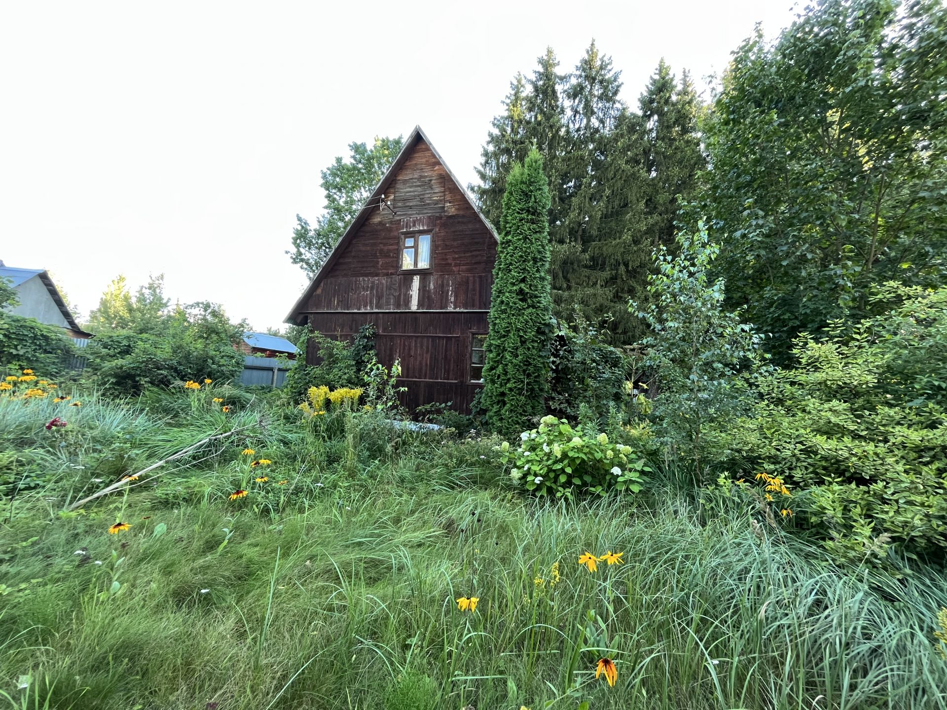 Дача Московская область, городской округ Пушкинский, садовое ...