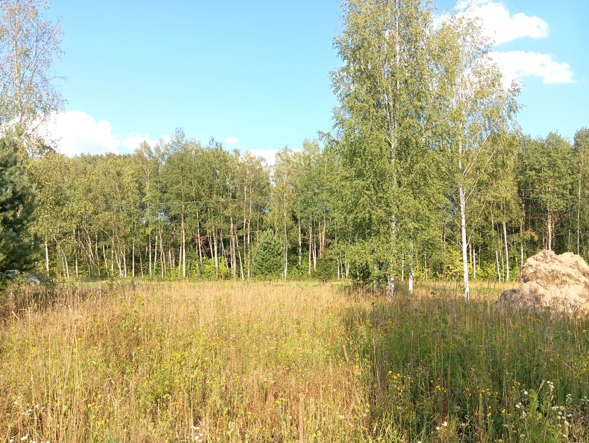 Земли поселения Московская область, Богородский городской округ, деревня  Карабаново, коттеджный посёлок Сказка – агентство недвижимости «Азбука  недвижимости» Москва и МО