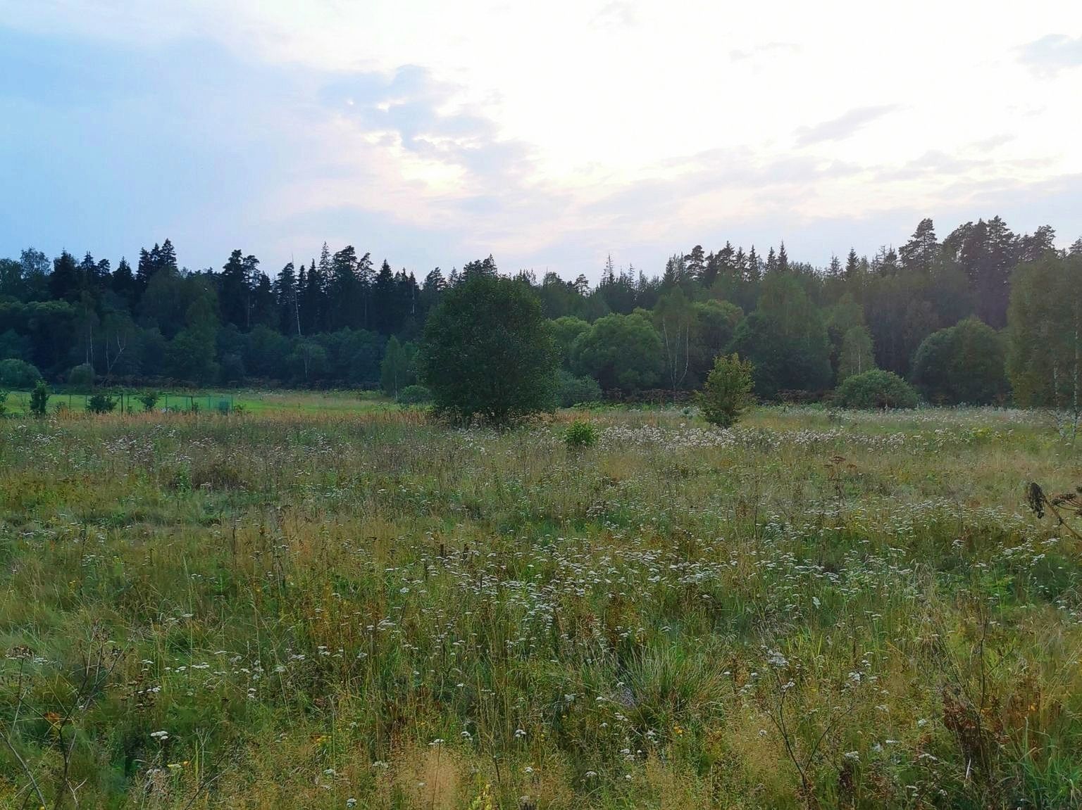 Земли поселения Московская область, Рузский городской округ, деревня Сытьково