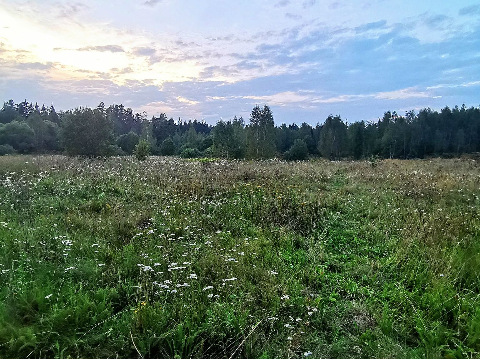 Земли поселения Московская область, Рузский городской округ, деревня Сытьково