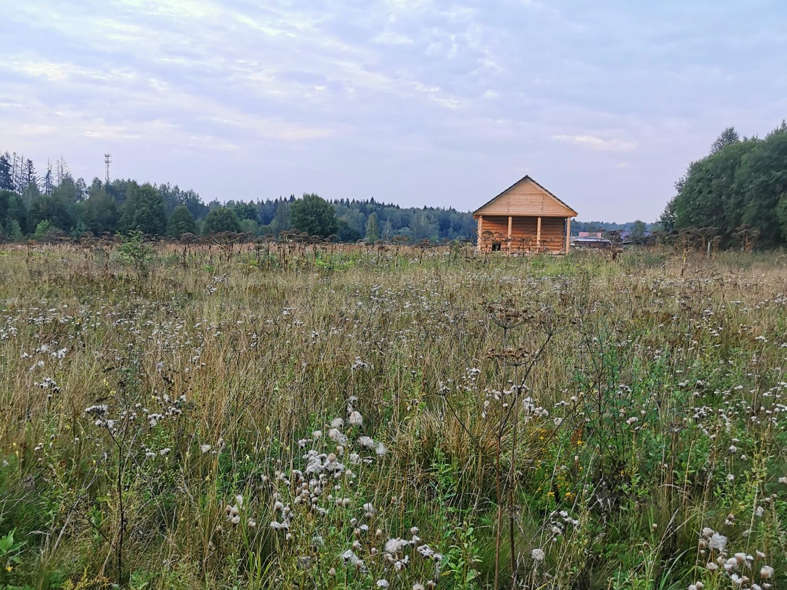 Земли поселения Московская область, Рузский городской округ, деревня Сытьково