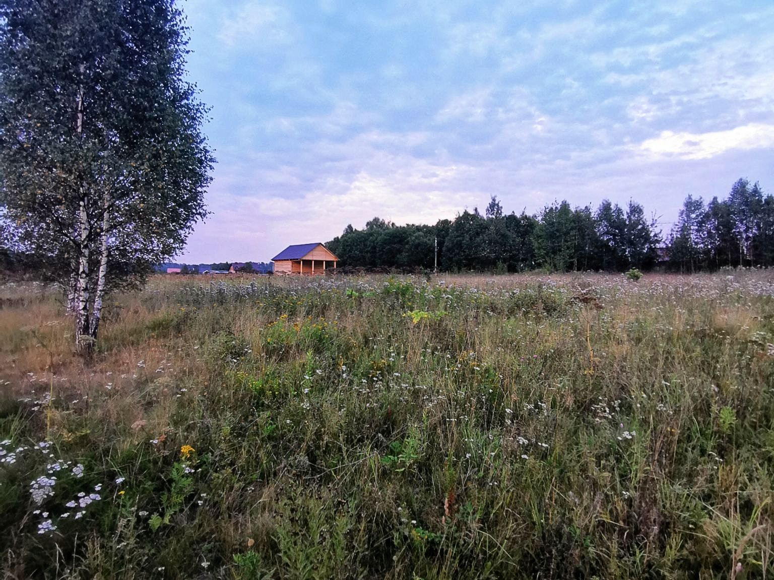 Земли поселения Московская область, Рузский городской округ, деревня Сытьково