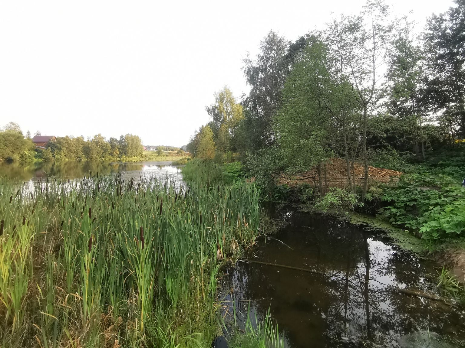 Земли поселения Московская область, Рузский городской округ, деревня Сытьково
