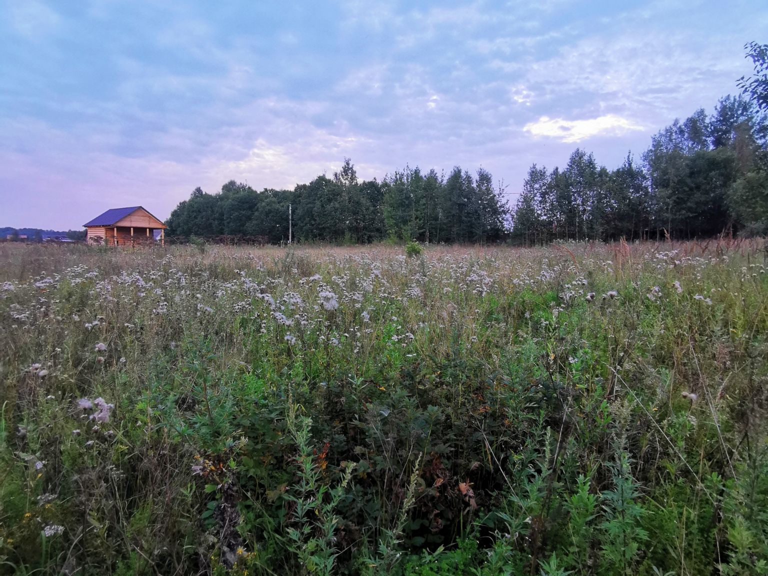 Земли поселения Московская область, Рузский городской округ, деревня Сытьково