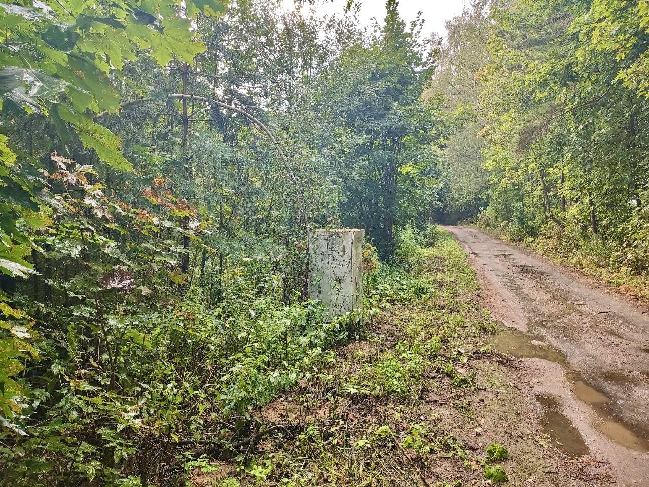 Земли поселения Московская область, Богородский городской округ, рабочий посёлок Обухово, Лесная улица