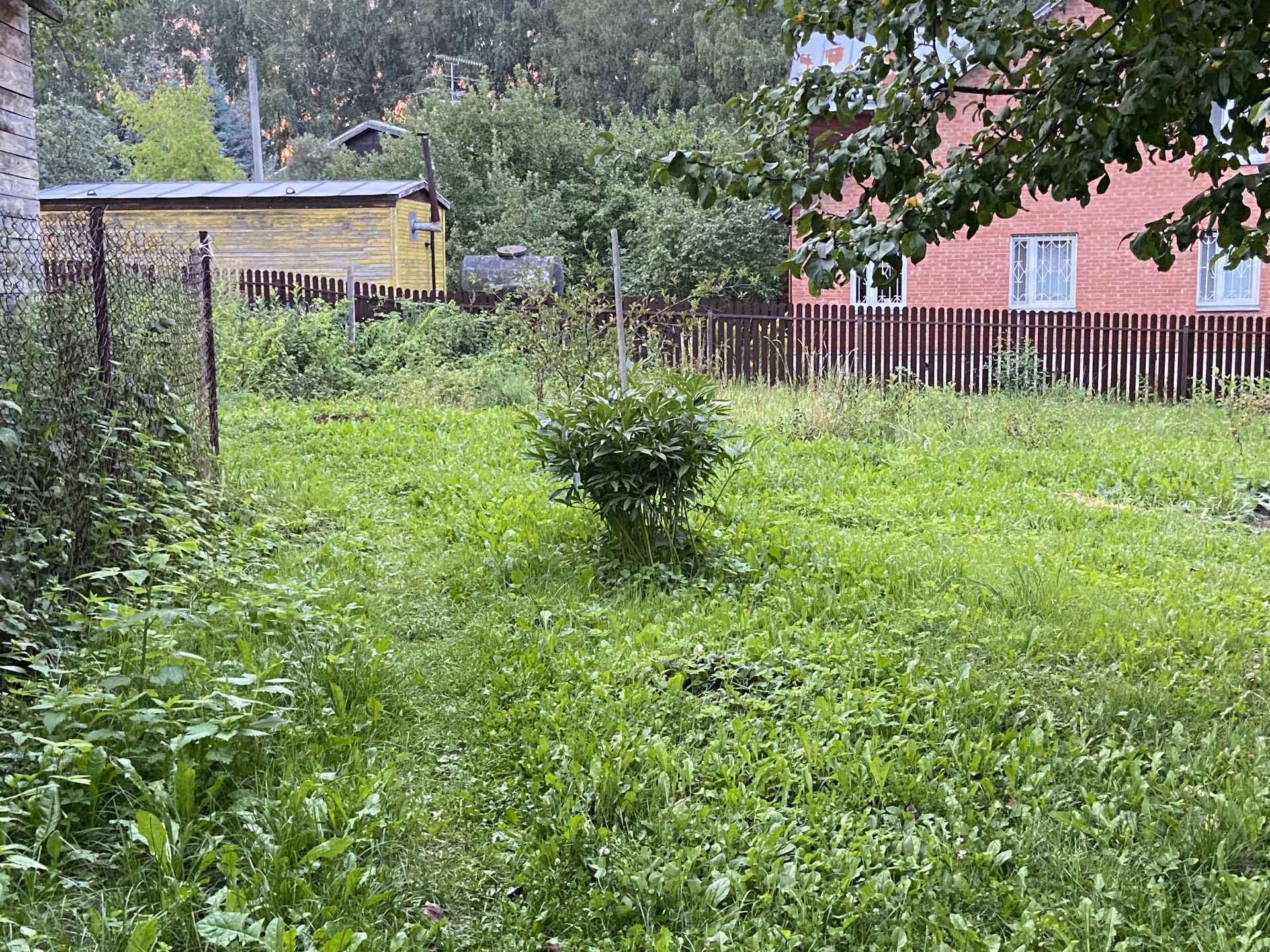 Земли поселения Московская область, Ленинский городской округ, деревня Дыдылдино, СНТ Колхозник-1