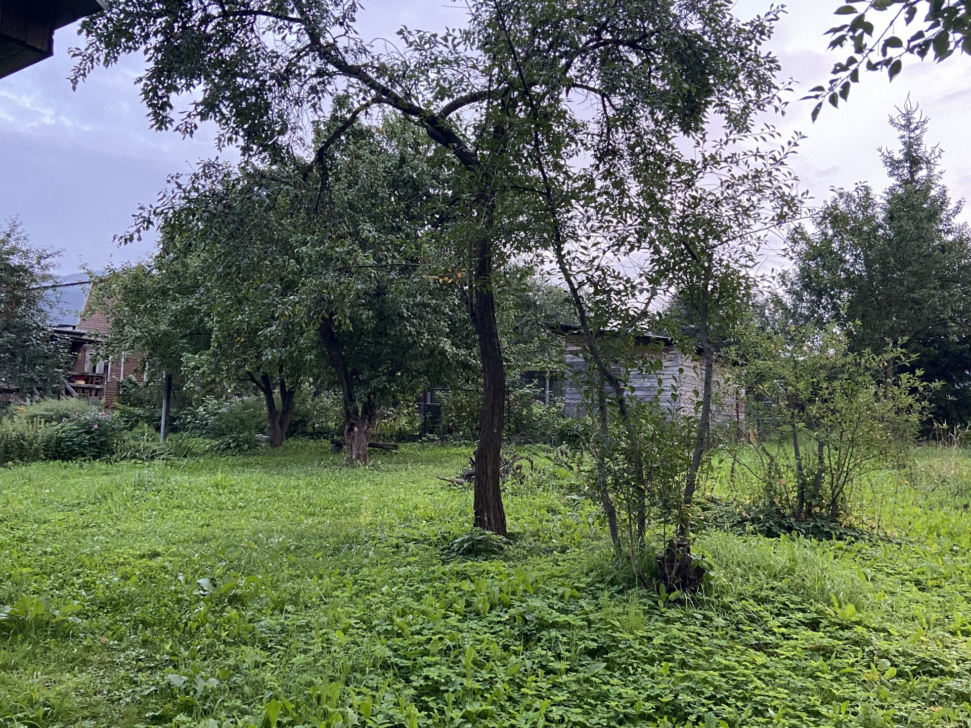 Земли поселения Московская область, Ленинский городской округ, деревня Дыдылдино, СНТ Колхозник-1
