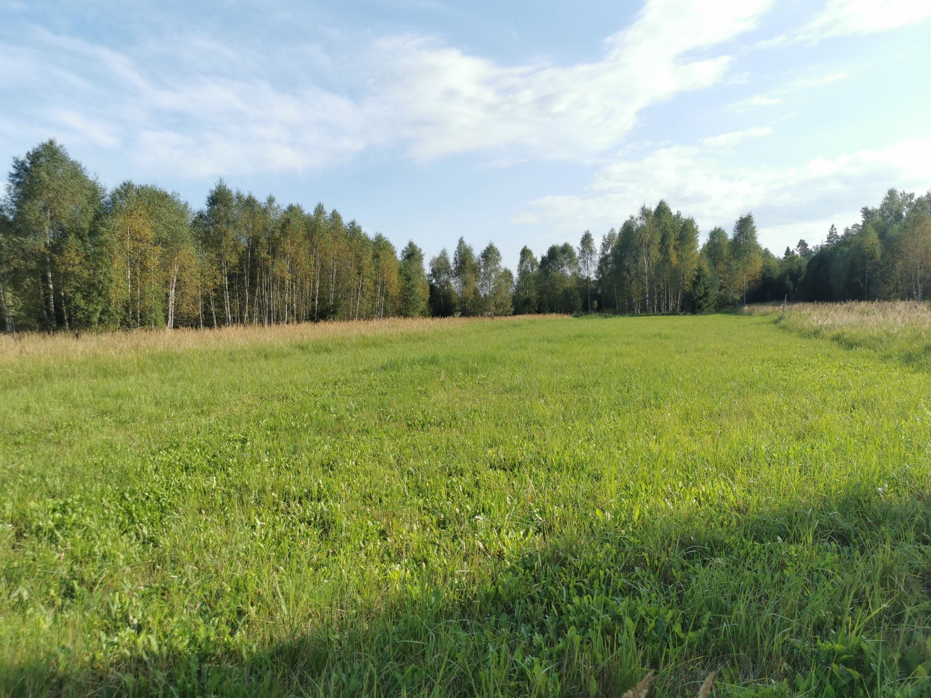 Земли поселения Московская область, Рузский городской округ, деревня Сытьково