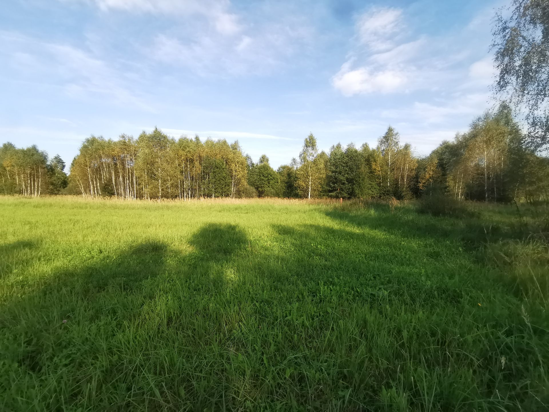 Земли поселения Московская область, Рузский городской округ, деревня Сытьково