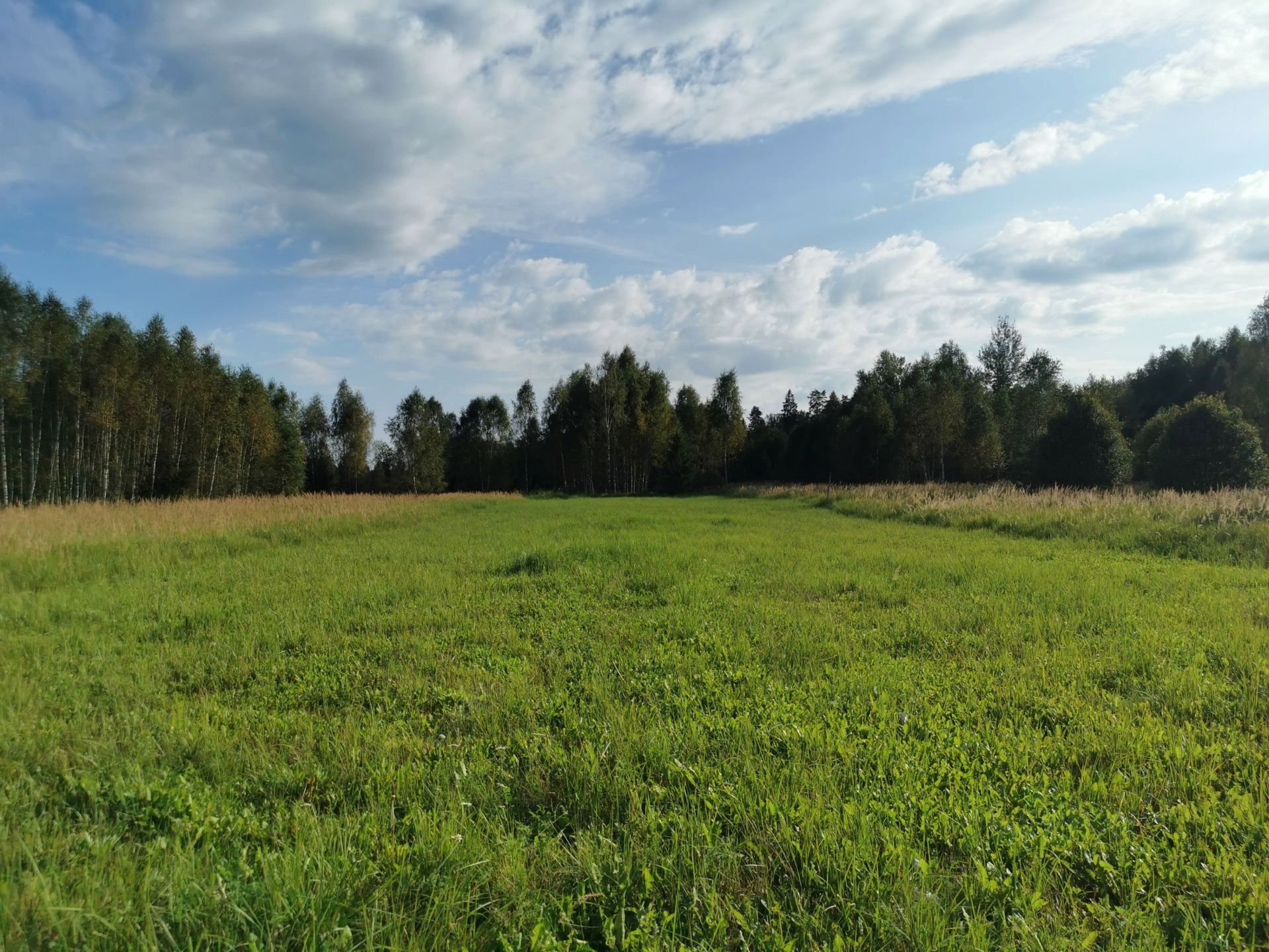 Земли поселения Московская область, Рузский городской округ, деревня Сытьково