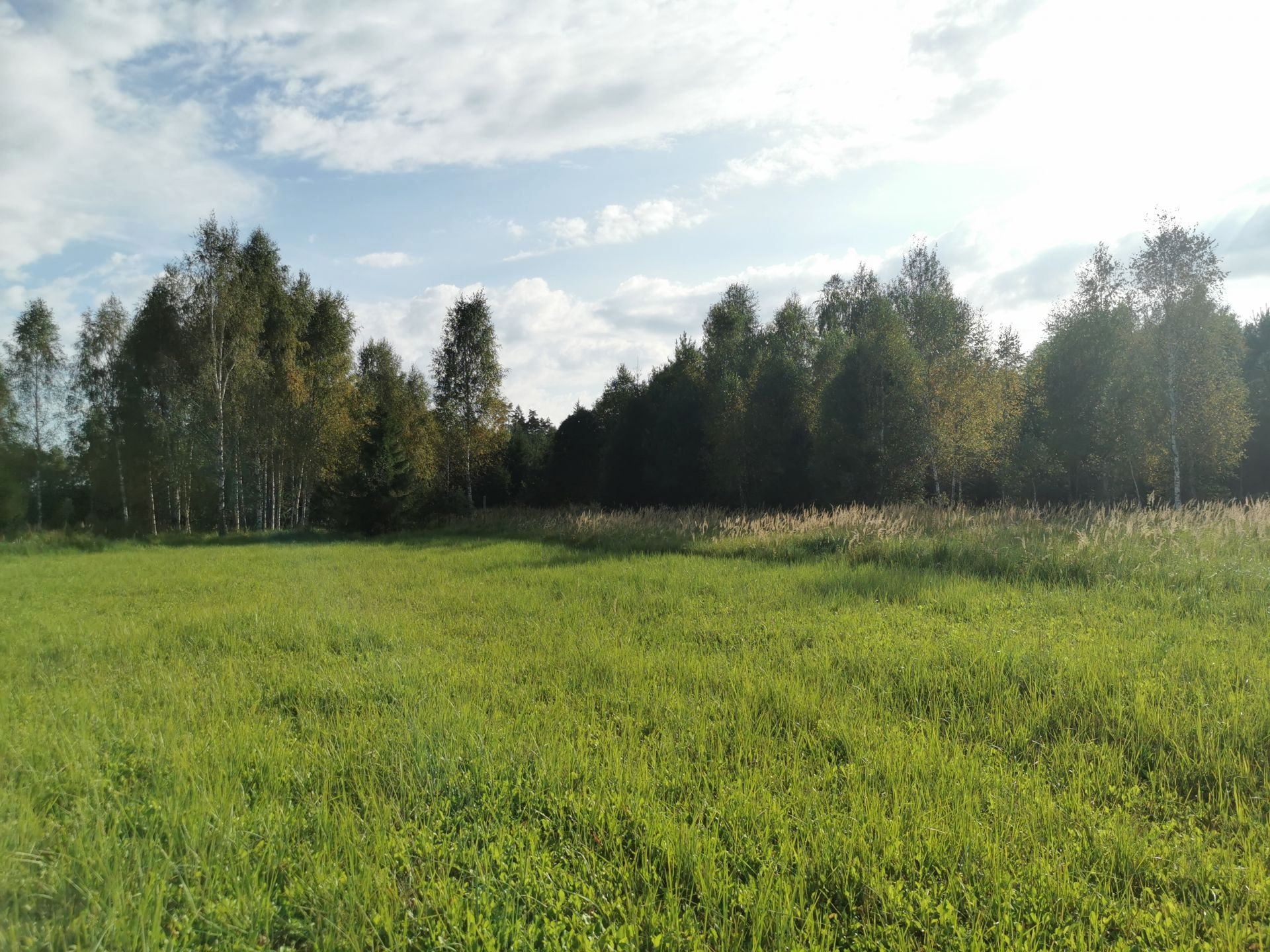 Земли поселения Московская область, Рузский городской округ, деревня Сытьково