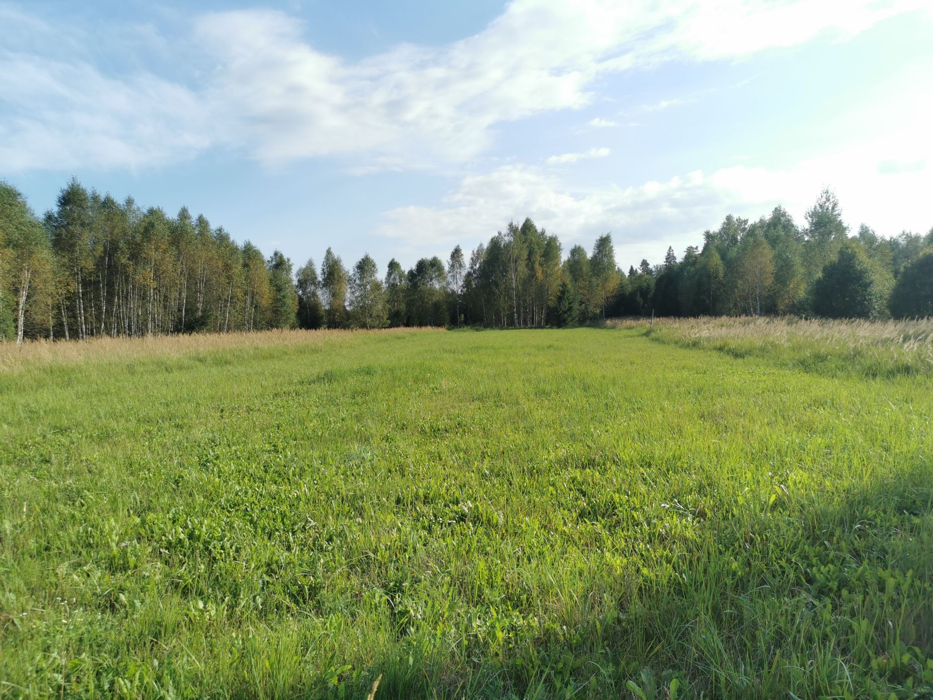 Земли поселения Московская область, Рузский городской округ, деревня Сытьково