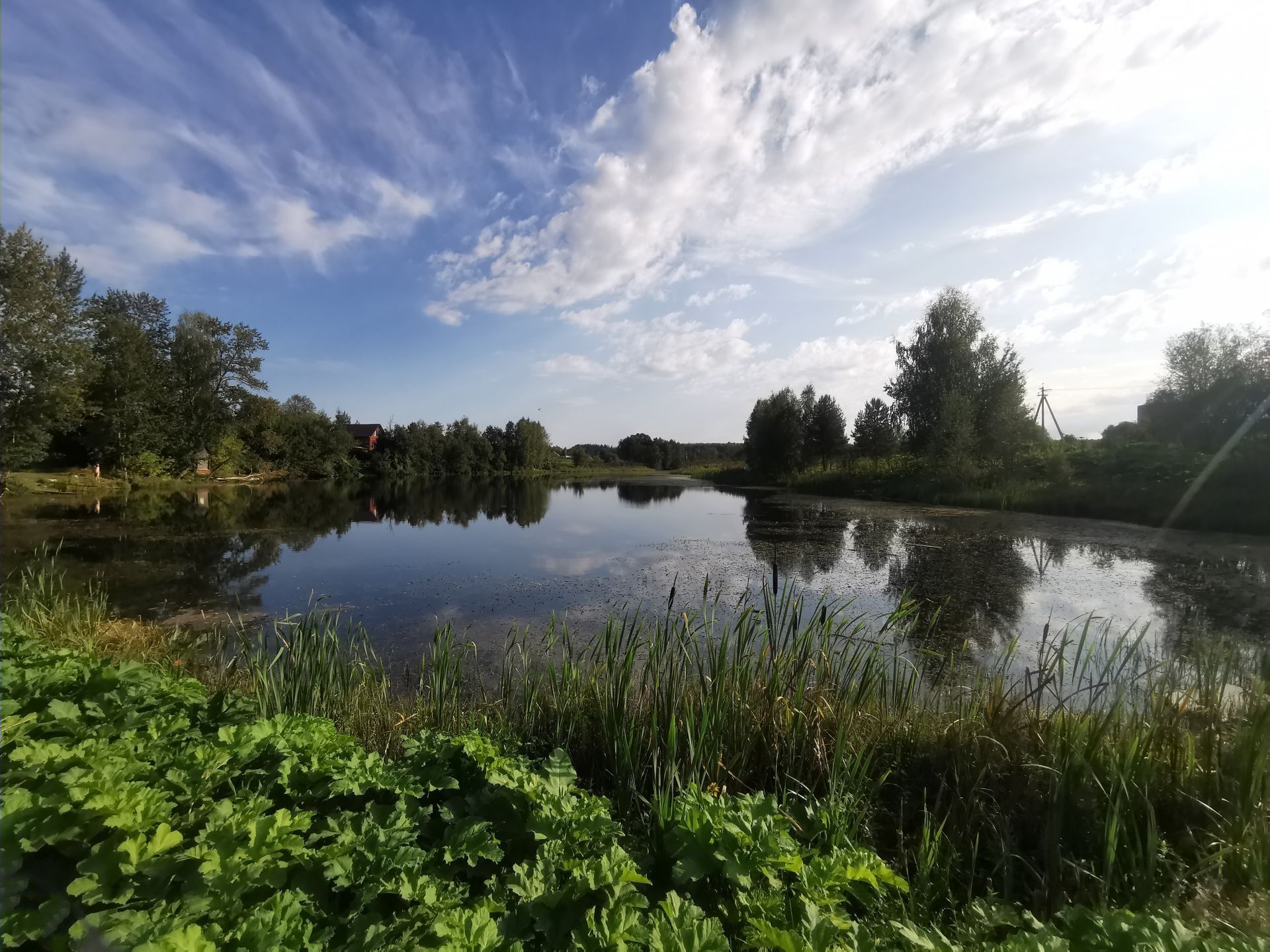 Земли поселения Московская область, Рузский городской округ, деревня Сытьково