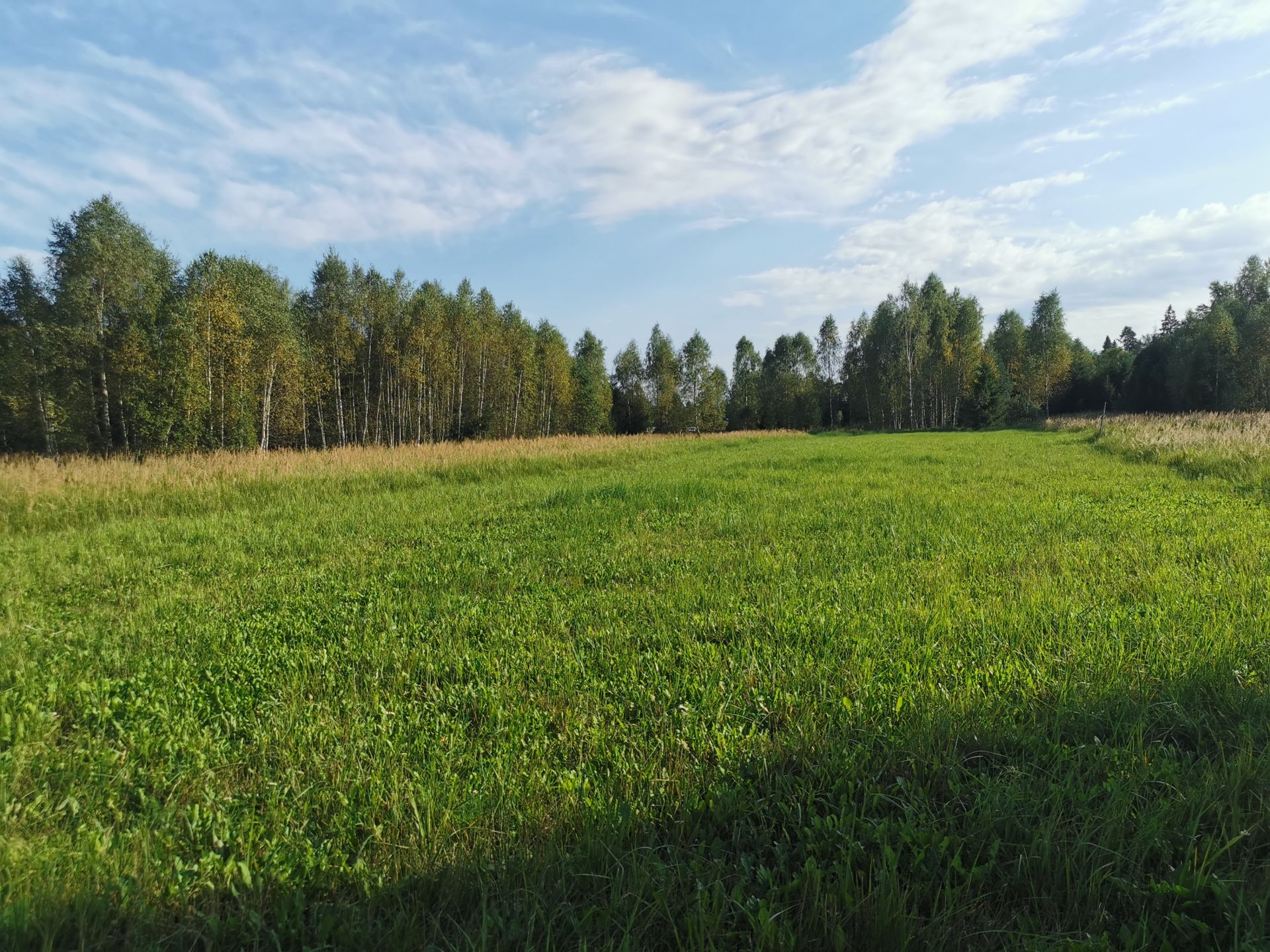 Земли поселения Московская область, Рузский городской округ, деревня Сытьково