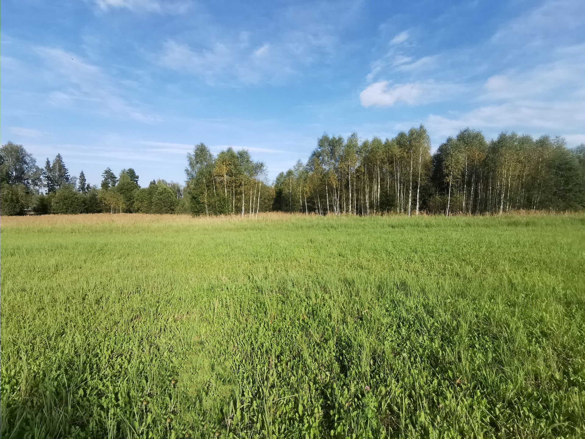 Земли поселения Московская область, Рузский городской округ, деревня Сытьково