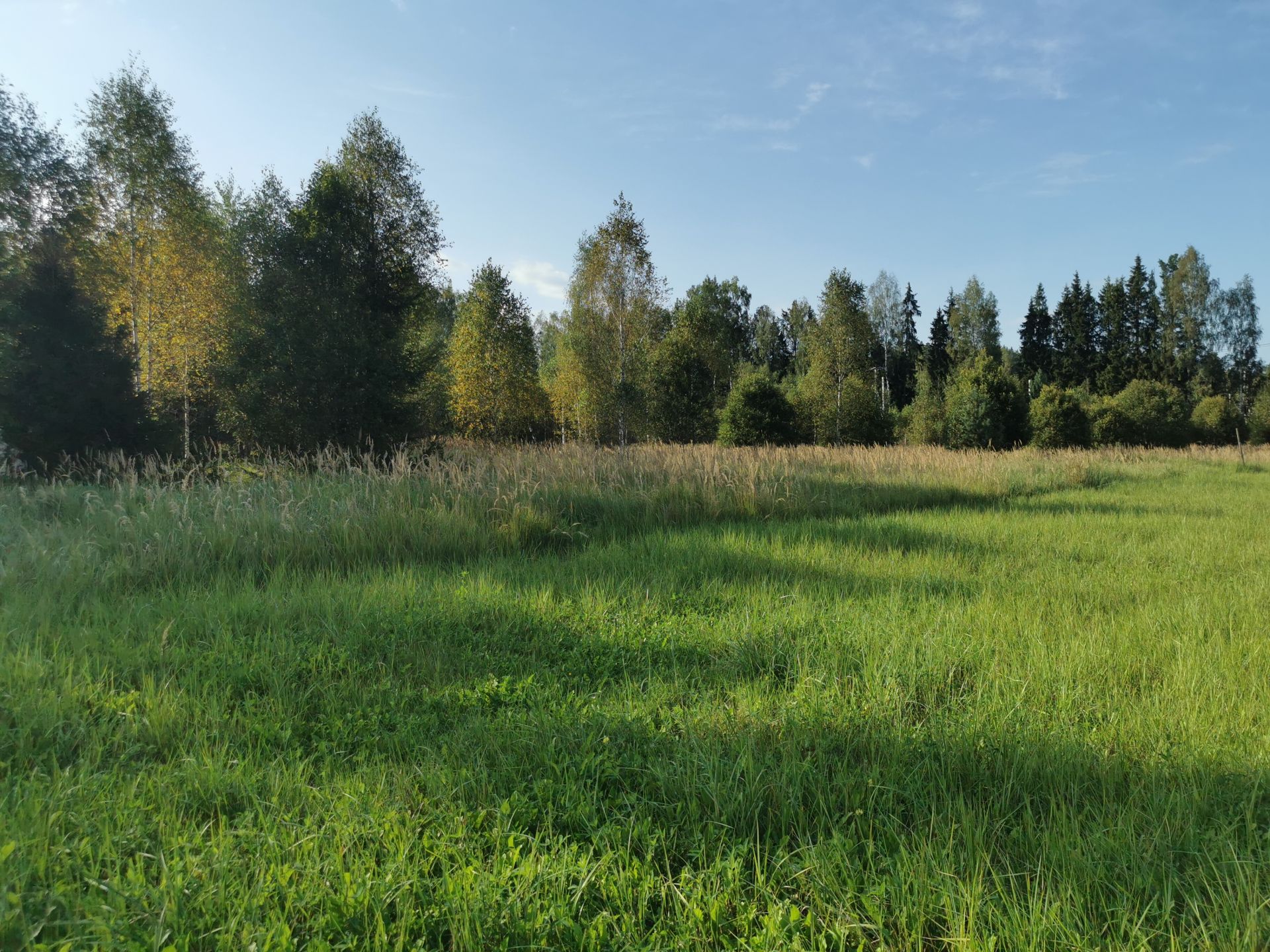 Земли поселения Московская область, Рузский городской округ, деревня Сытьково