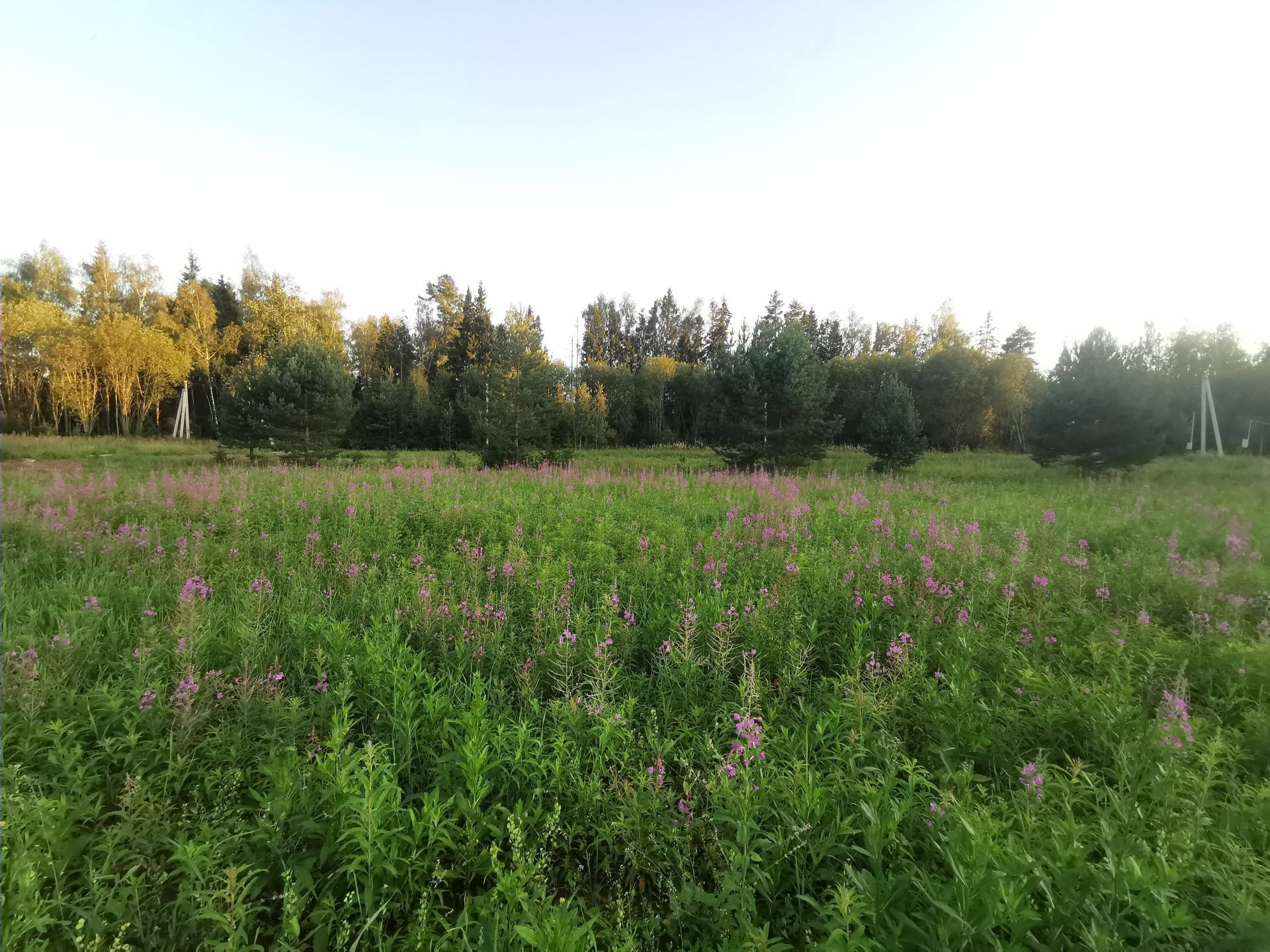 Земли поселения Московская область, Рузский городской округ, деревня Сытьково