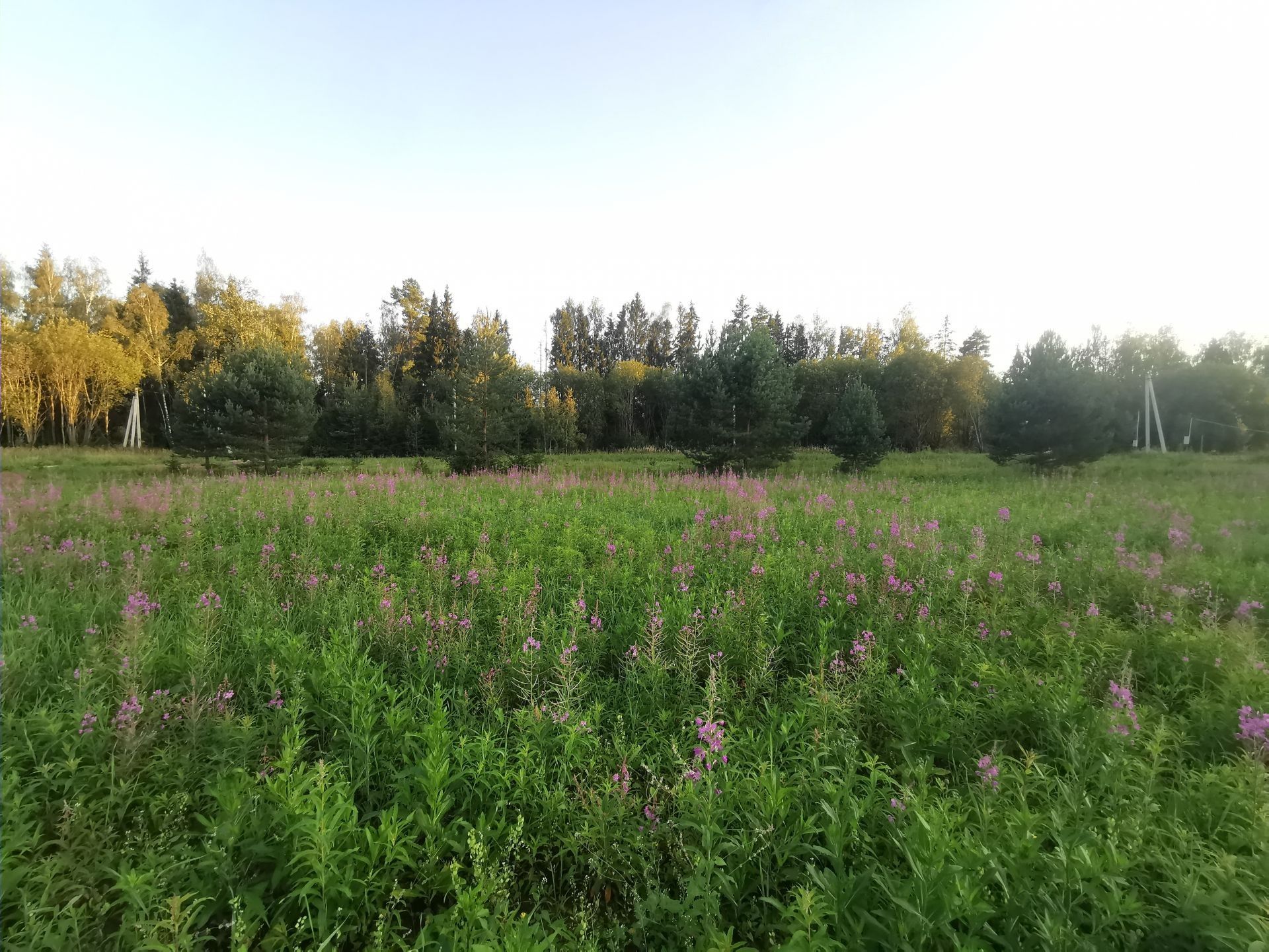 Земли поселения Московская область, Рузский городской округ, деревня Сытьково