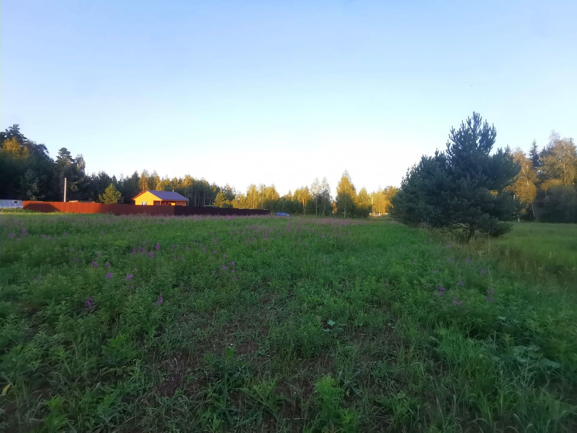 Земли поселения Московская область, Рузский городской округ, деревня Сытьково
