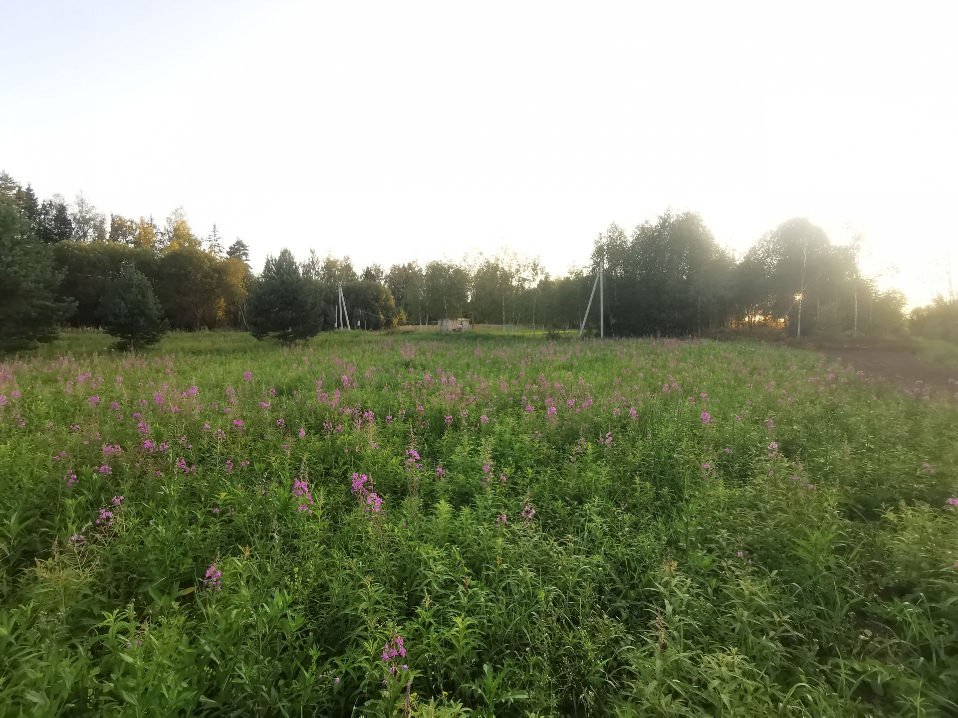 Земли поселения Московская область, Рузский городской округ, деревня Сытьково