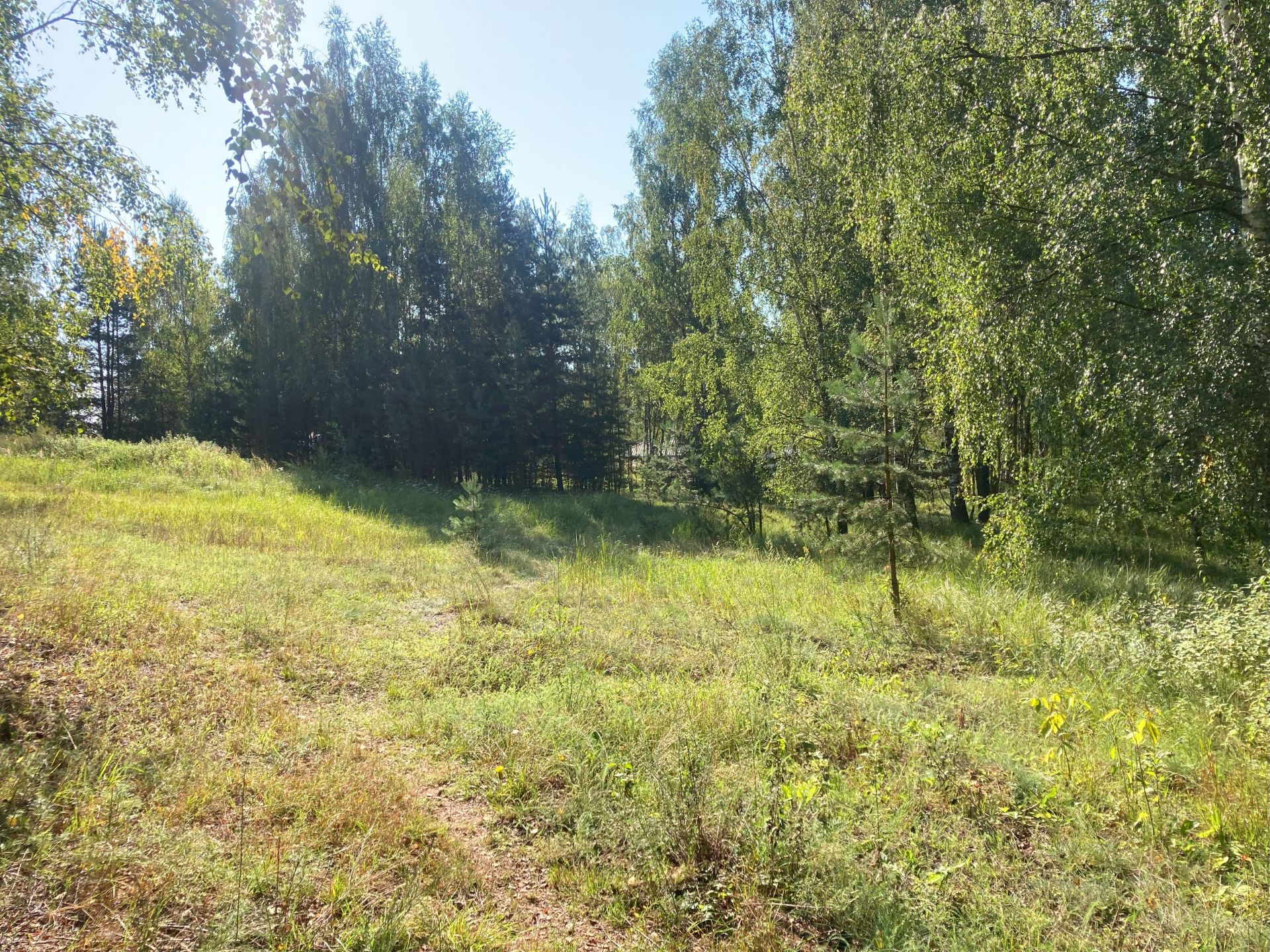 Земли поселения Московская область, Богородский городской округ, деревня Марьино-3