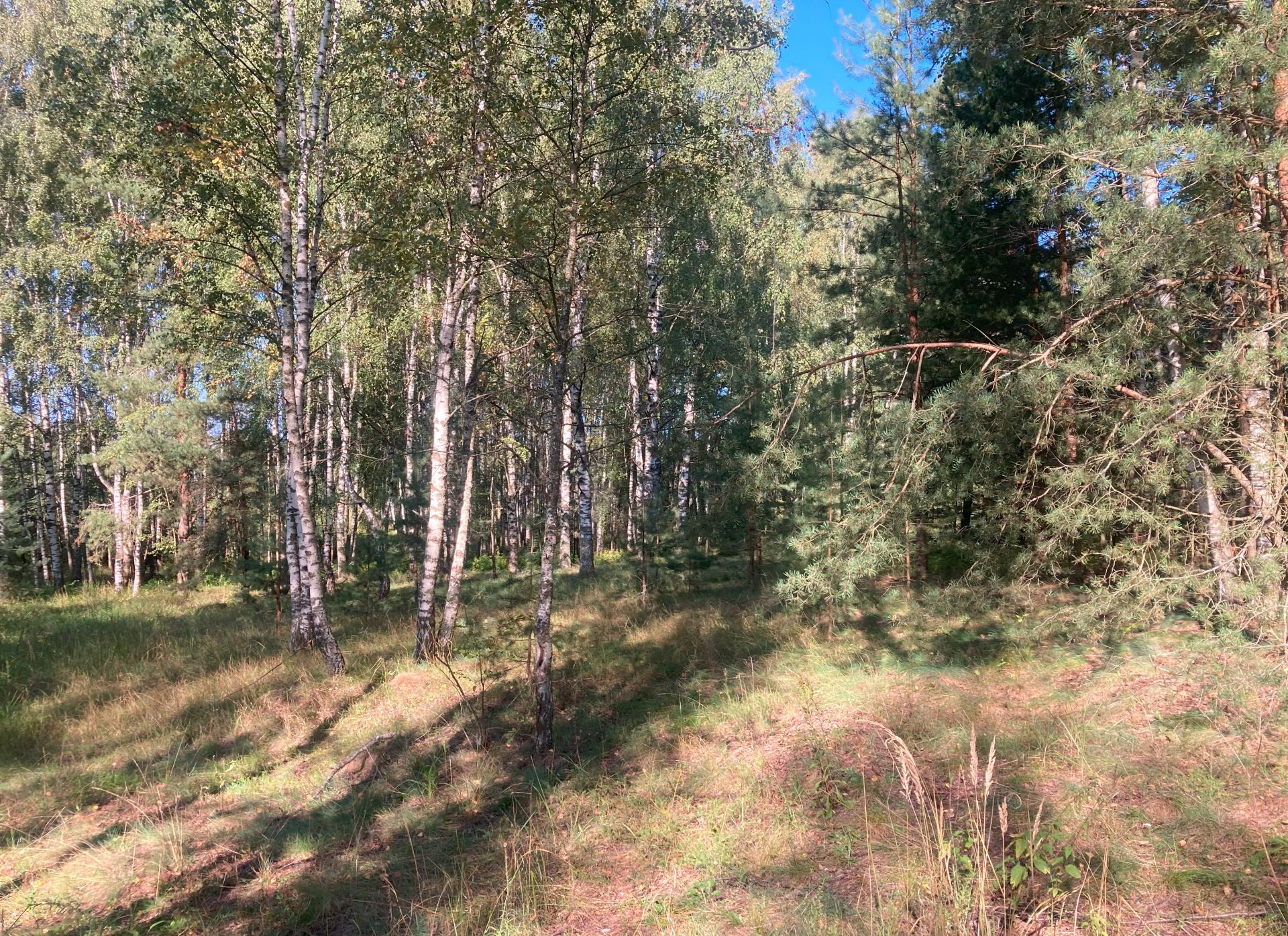 Земли поселения Московская область, Богородский городской округ, деревня  Марьино-3 – агентство недвижимости «Азбука недвижимости» Москва и МО