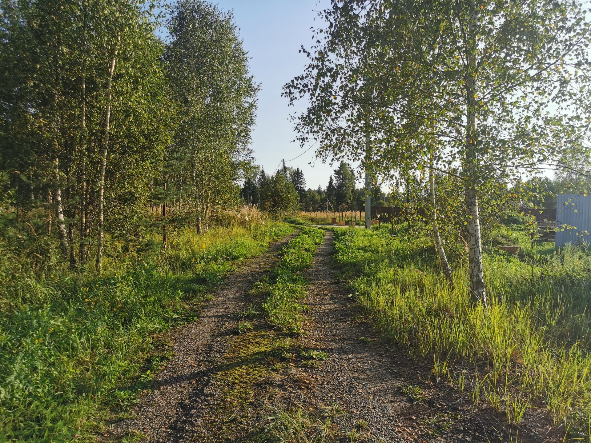 Земли поселения Московская область, Рузский городской округ, деревня Сытьково