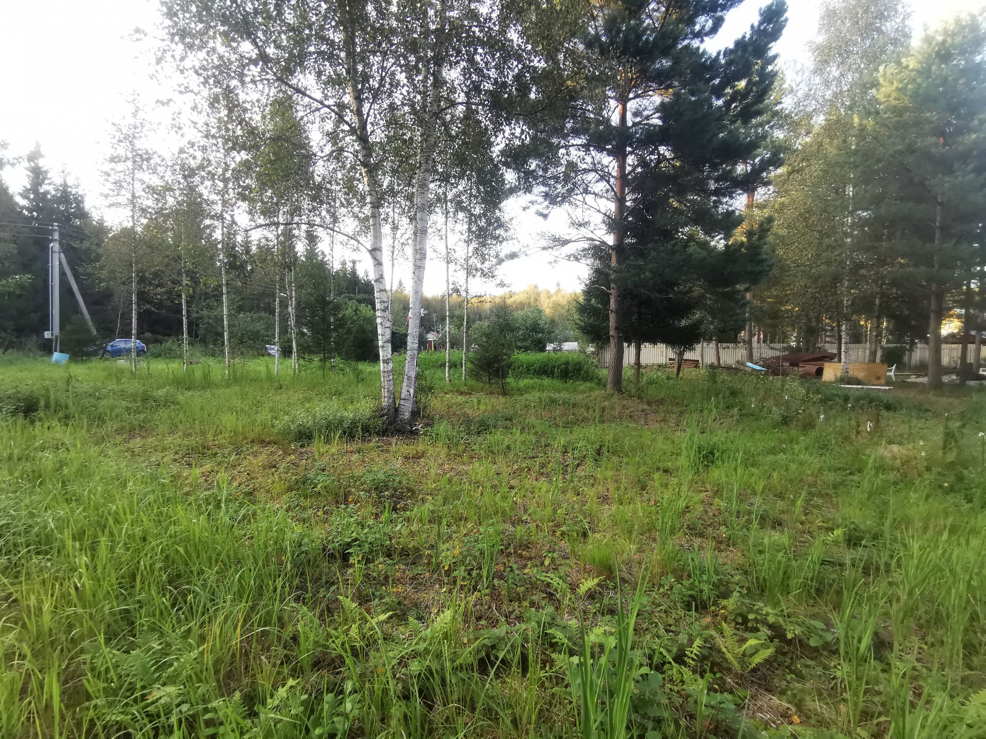 Земли сельхозназначения Московская область, Рузский городской округ, садовое товарищество Краснопролетарец-2
