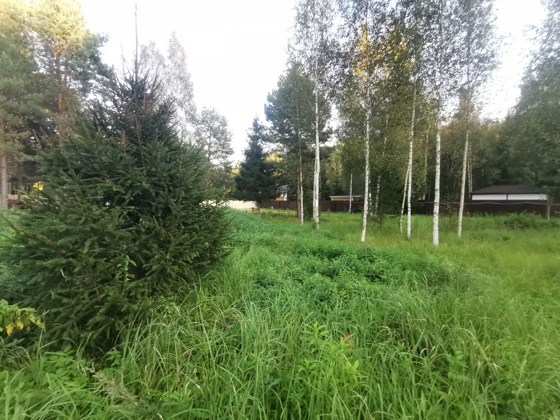 Земли сельхозназначения Московская область, Рузский городской округ, садовое товарищество Краснопролетарец-2