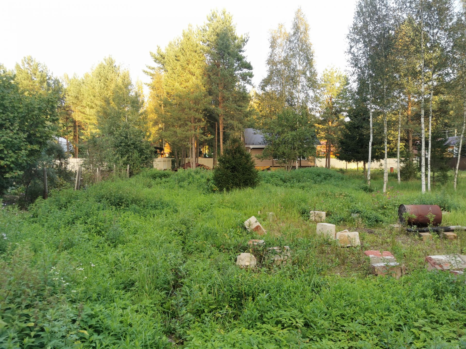 Земли сельхозназначения Московская область, Рузский городской округ, садовое товарищество Краснопролетарец-2
