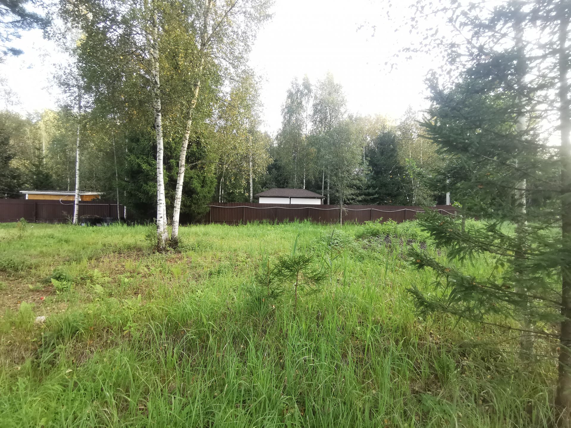 Земли сельхозназначения Московская область, Рузский городской округ, садовое товарищество Краснопролетарец-2