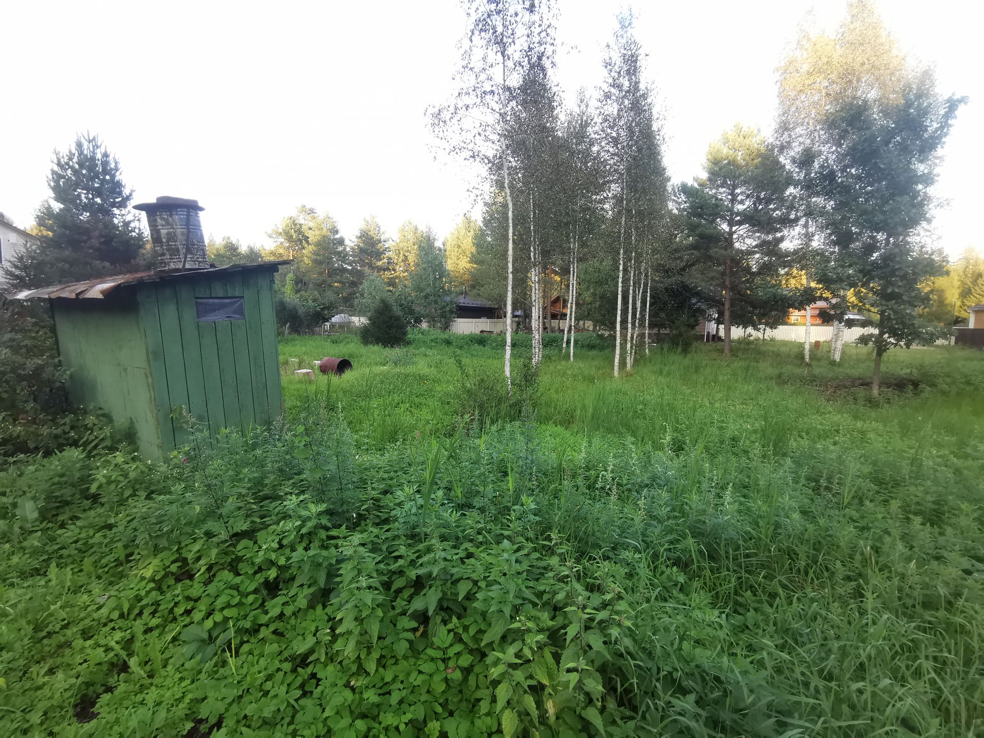 Земли сельхозназначения Московская область, Рузский городской округ, садовое товарищество Краснопролетарец-2
