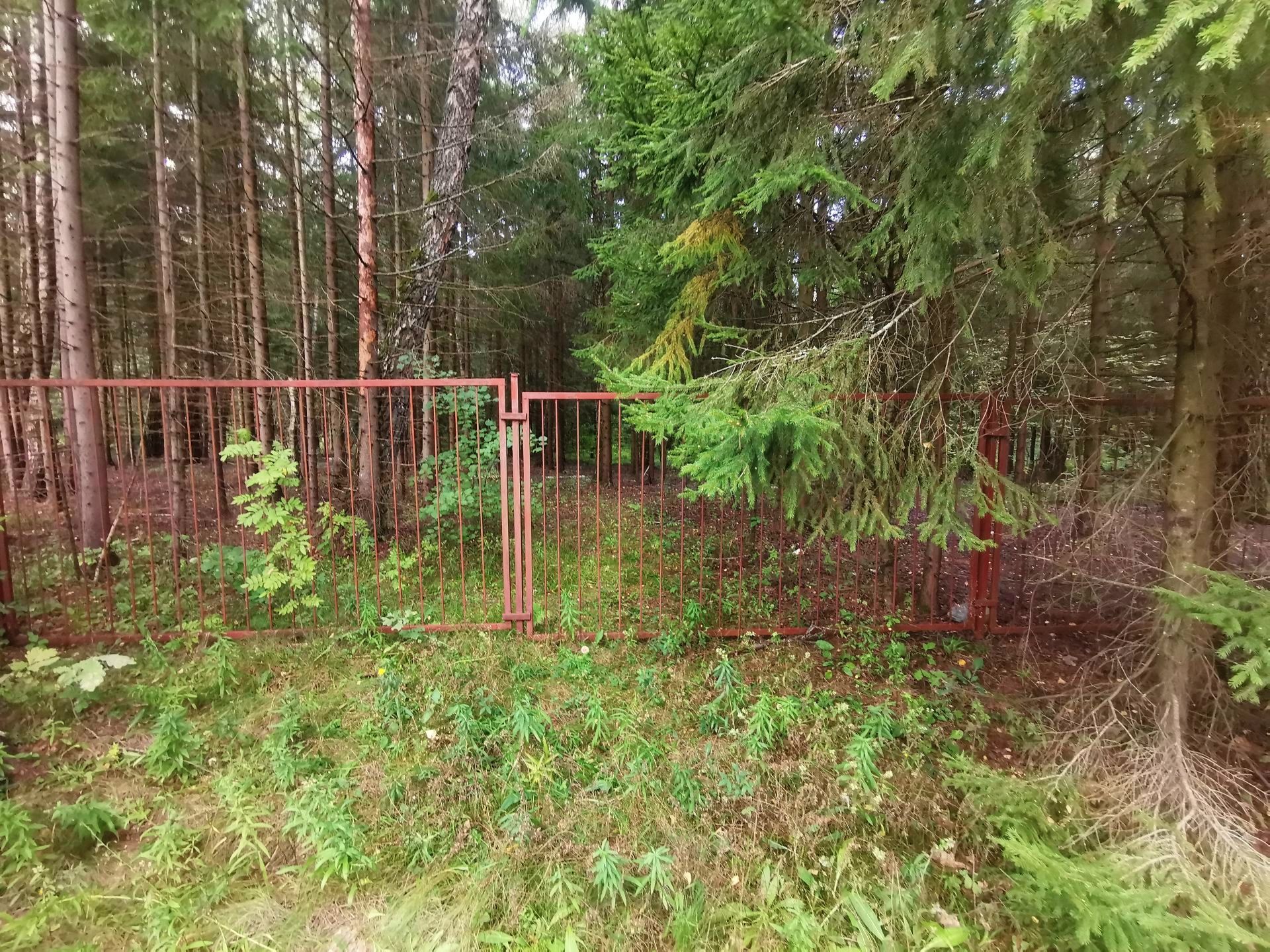 Земли поселения Московская область, Рузский городской округ, садовое товарищество Апальщино-ГУМ