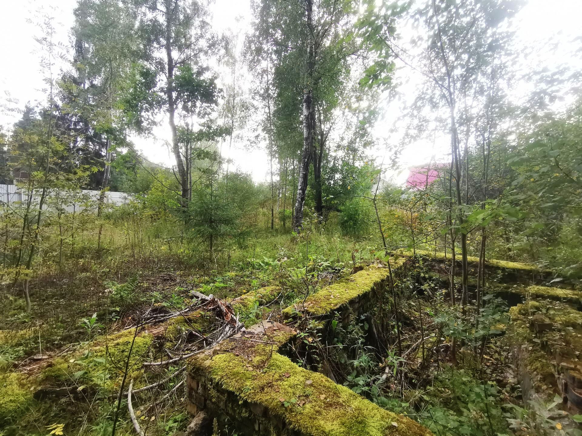 Земли поселения Московская область, Рузский городской округ, садовое товарищество Апальщино-ГУМ