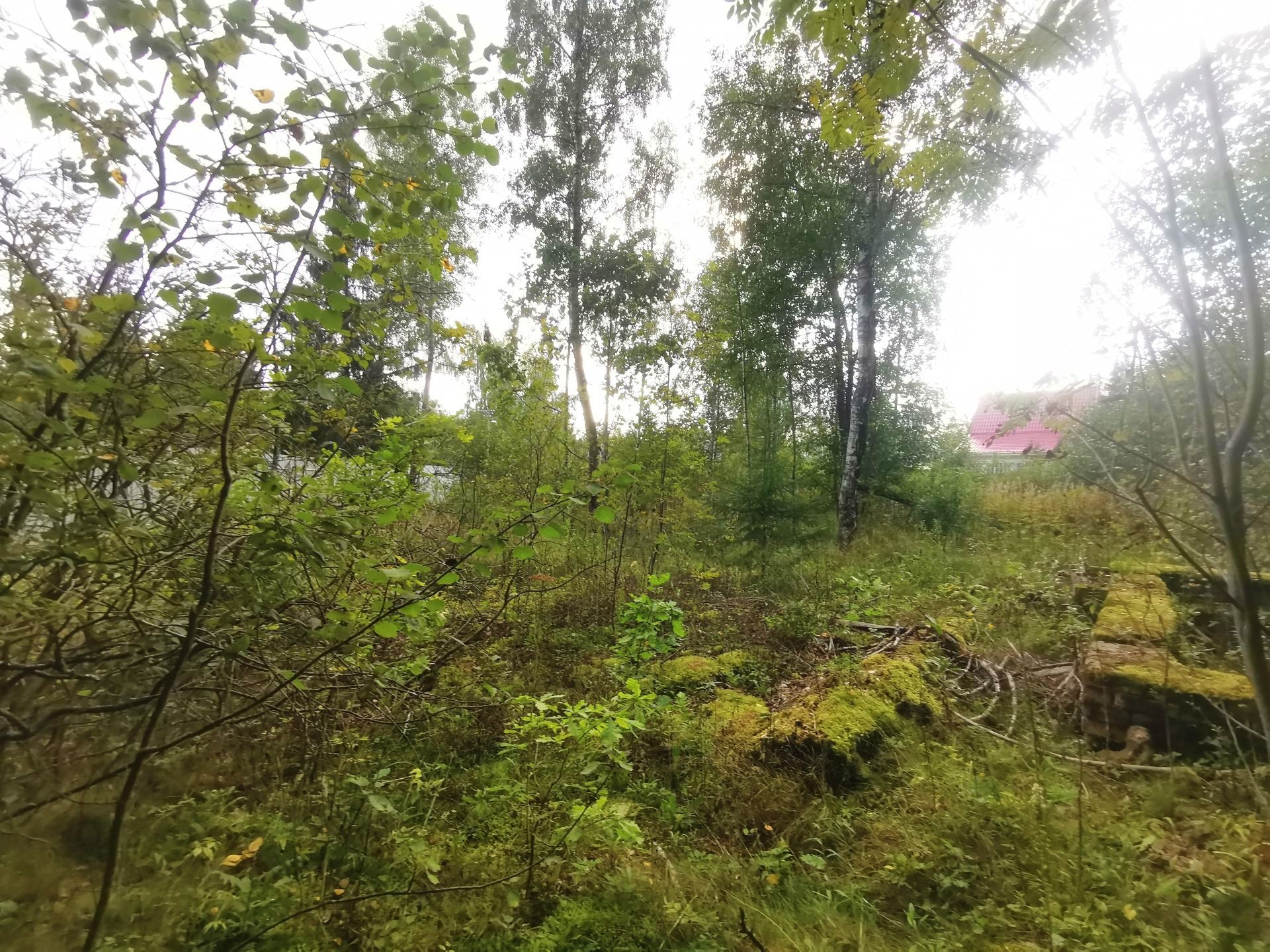 Земли поселения Московская область, Рузский городской округ, садовое товарищество Апальщино-ГУМ