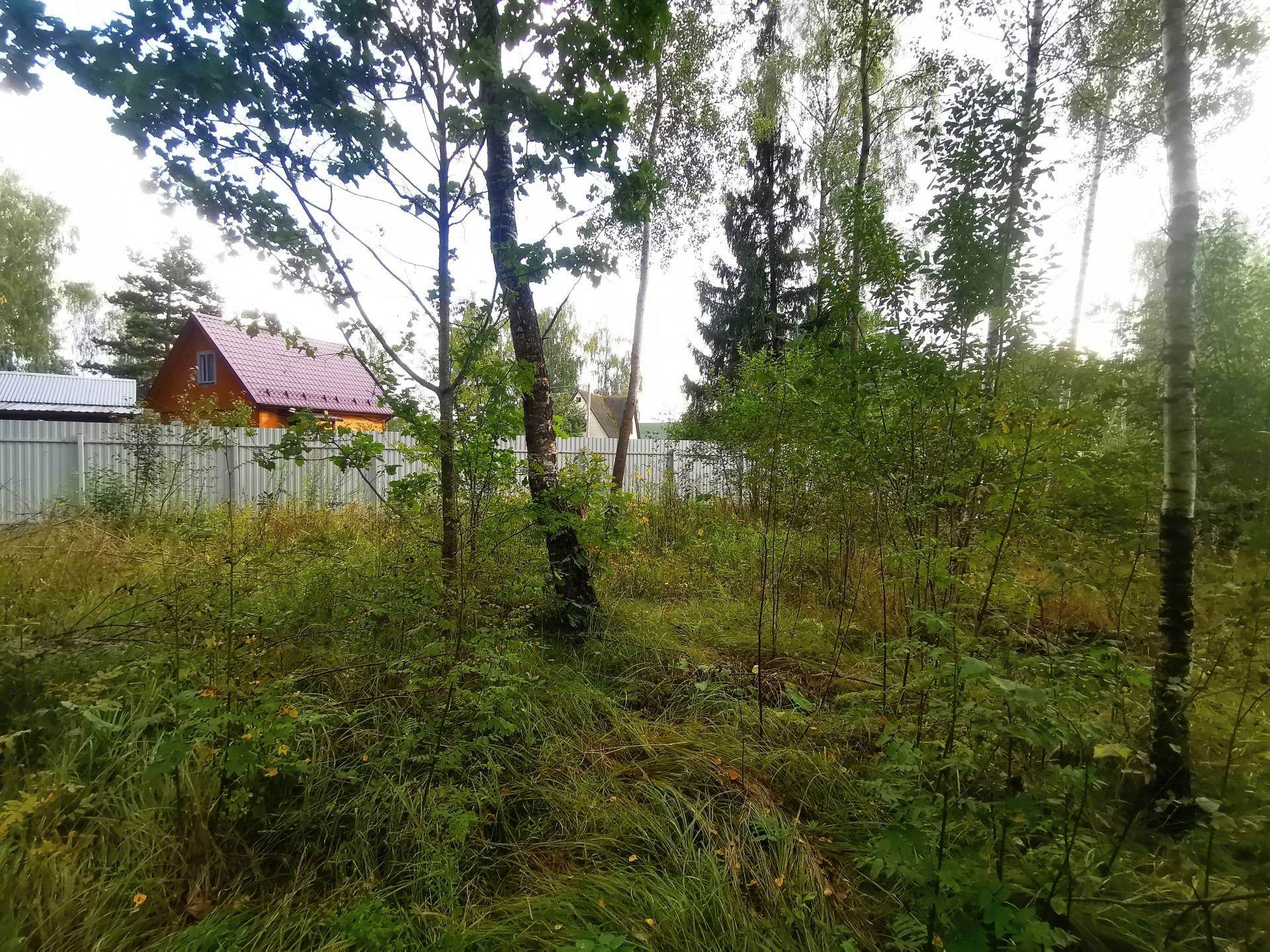 Земли поселения Московская область, Рузский городской округ, садовое товарищество Апальщино-ГУМ
