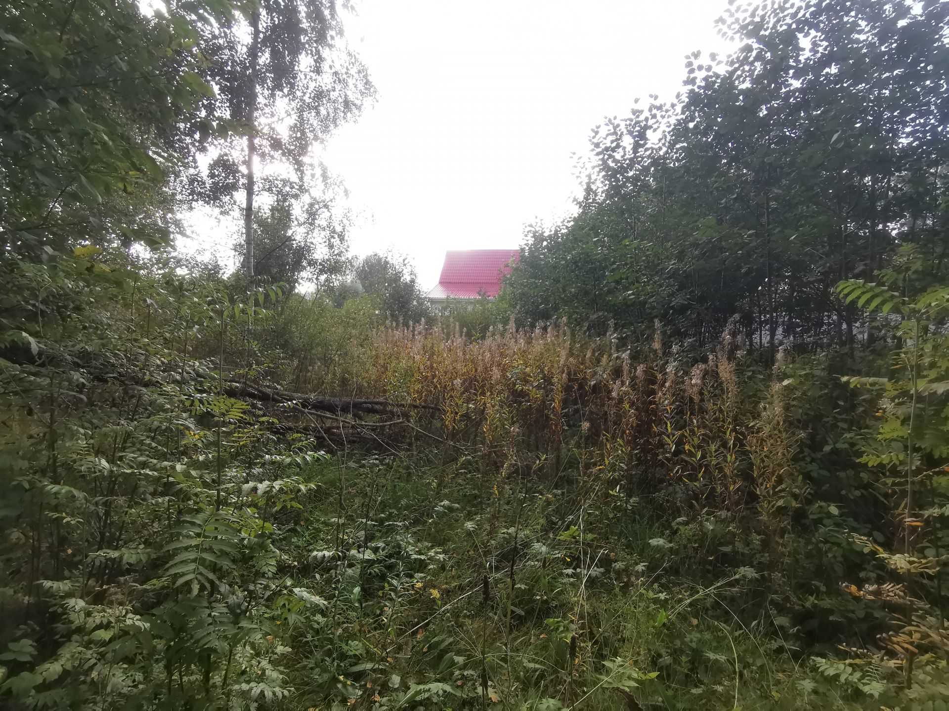 Земли поселения Московская область, Рузский городской округ, садовое товарищество Апальщино-ГУМ