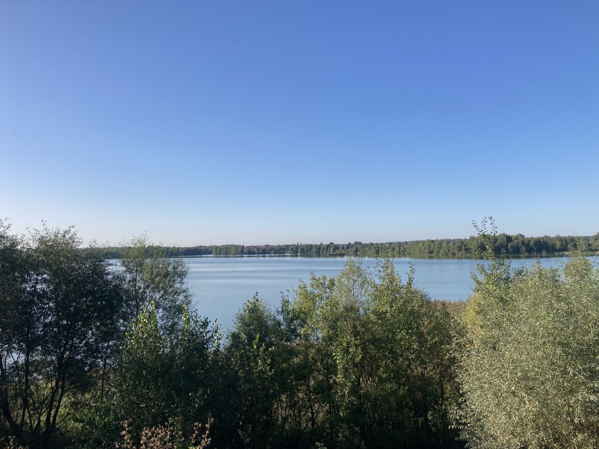 Земля промназначения Московская область, Богородский городской округ, деревня Аборино, массив № 1
