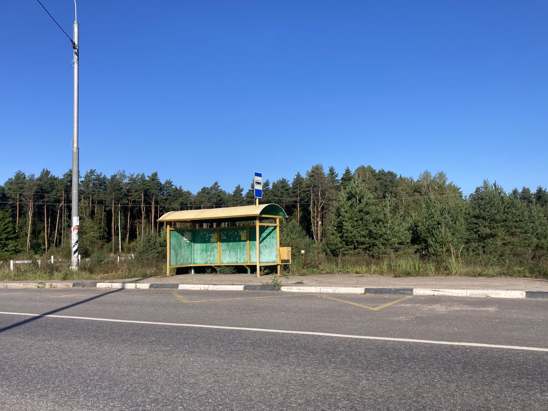 Земля промназначения Московская область, Богородский городской округ, деревня Аборино, массив № 1