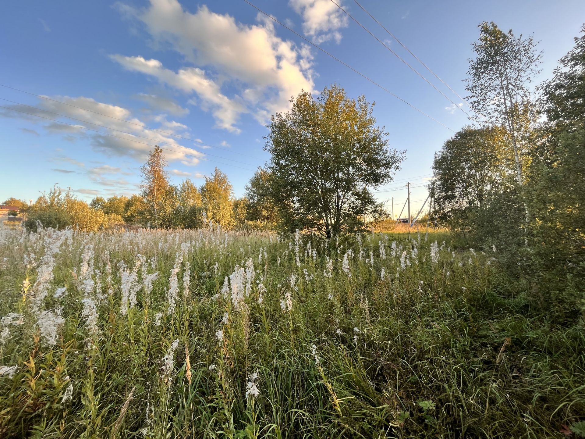 Земли поселения Московская область, Дмитровский городской округ, деревня Старо
